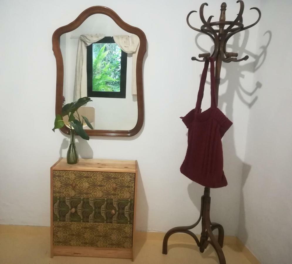 Arte Y Descanso En Sevilla Dış mekan fotoğraf